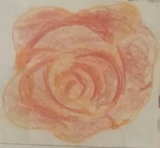Pier's Pink Rose Artwork